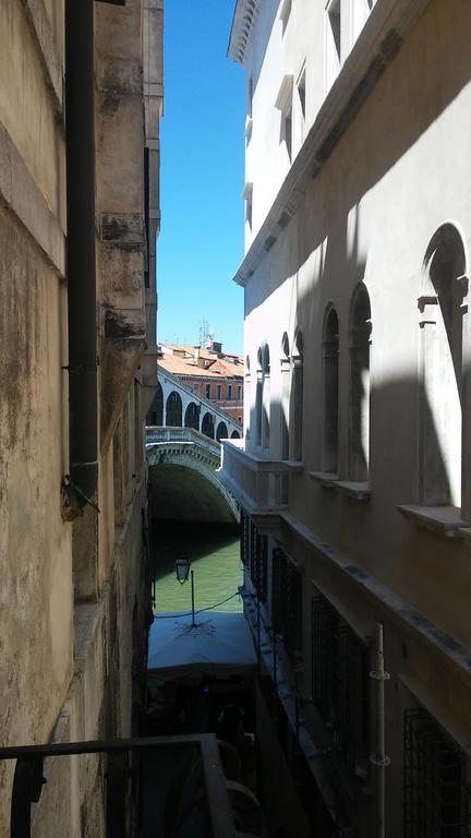 Testa D'oro Venecia